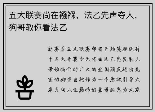 五大联赛尚在襁褓，法乙先声夺人，狗哥教你看法乙