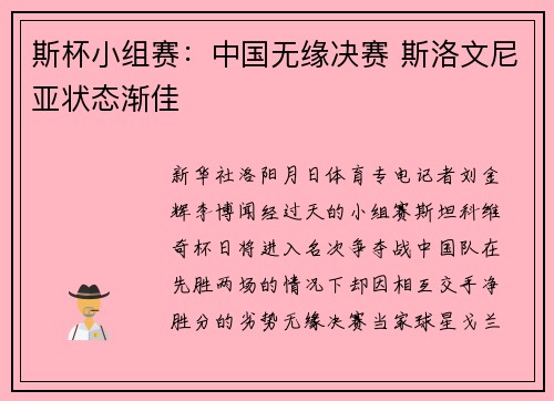 斯杯小组赛：中国无缘决赛 斯洛文尼亚状态渐佳